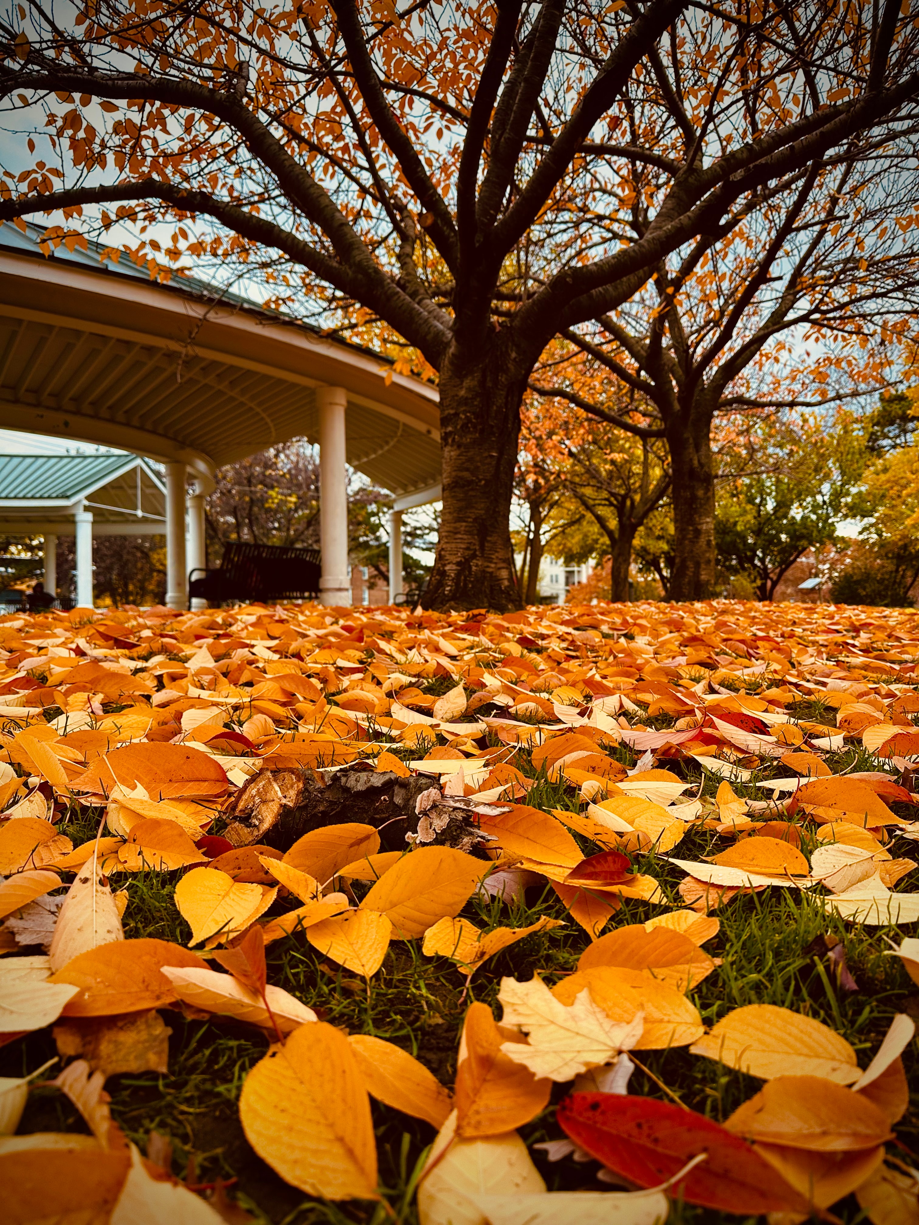 Featured Photography